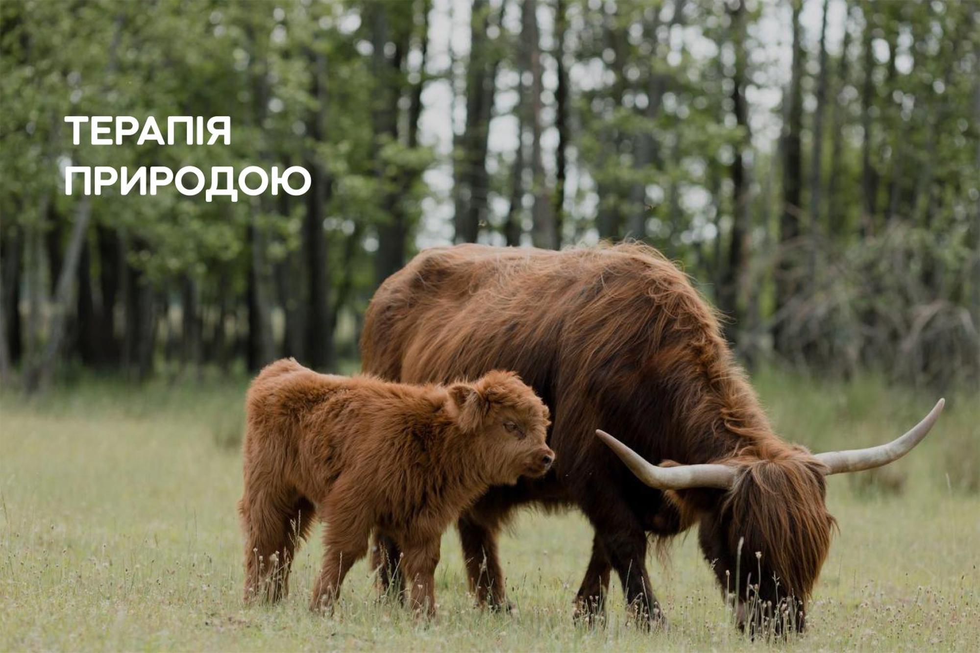 Dereville Sokolovka Esterno foto