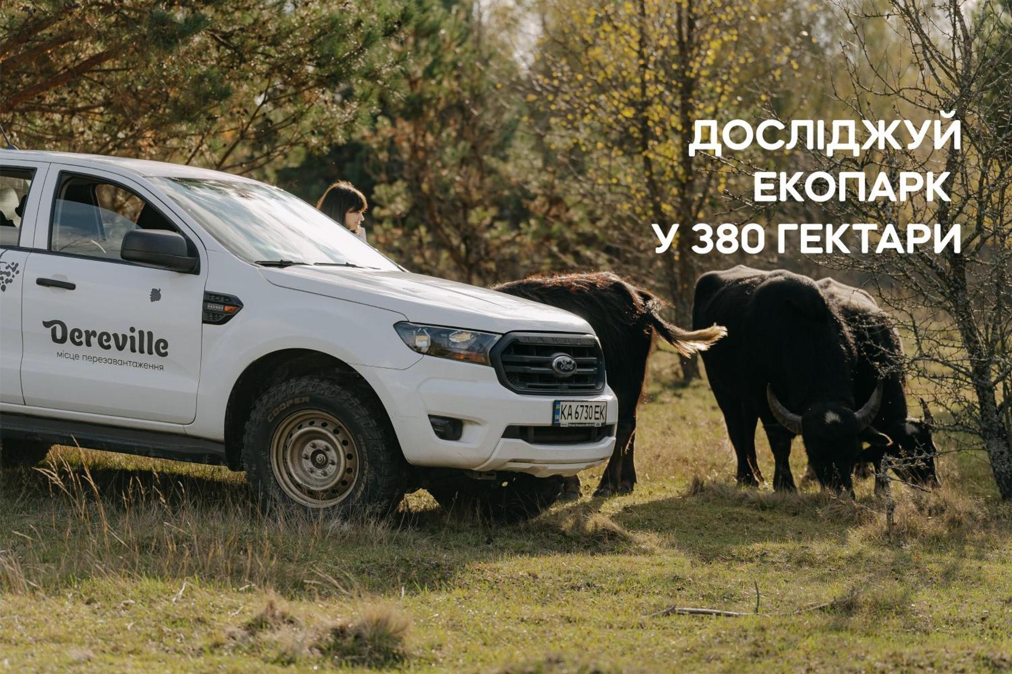 Dereville Sokolovka Camera foto